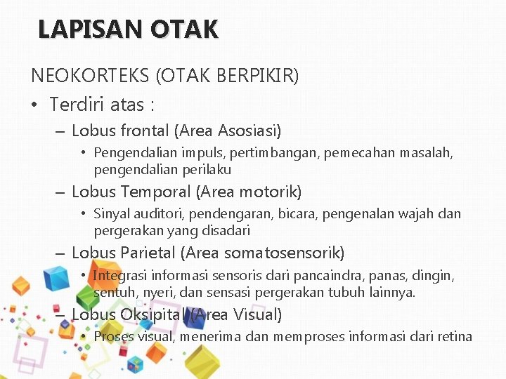 LAPISAN OTAK NEOKORTEKS (OTAK BERPIKIR) • Terdiri atas : – Lobus frontal (Area Asosiasi)