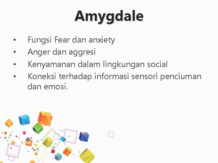 Amygdale • • Fungsi Fear dan anxiety Anger dan aggresi Kenyamanan dalam lingkungan social