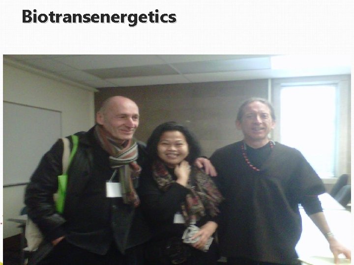 Biotransenergetics 