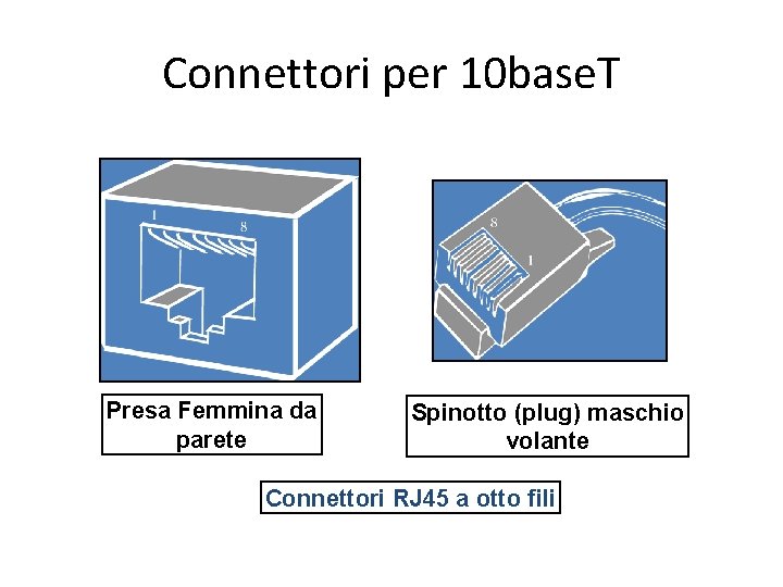 Connettori per 10 base. T Presa Femmina da parete Spinotto (plug) maschio volante Connettori