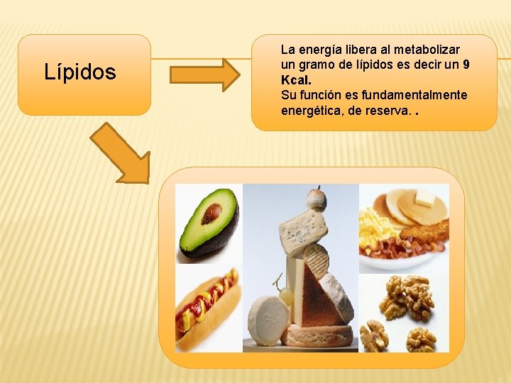 REQUERIMIENTOS NUTRICIONALES Y ENERGTICOS Nombres Sofa Bravo Catalina