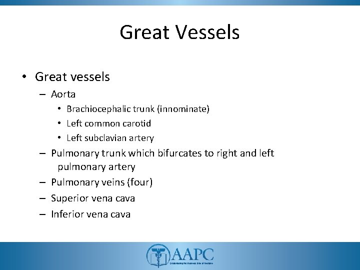 Great Vessels • Great vessels – Aorta • Brachiocephalic trunk (innominate) • Left common