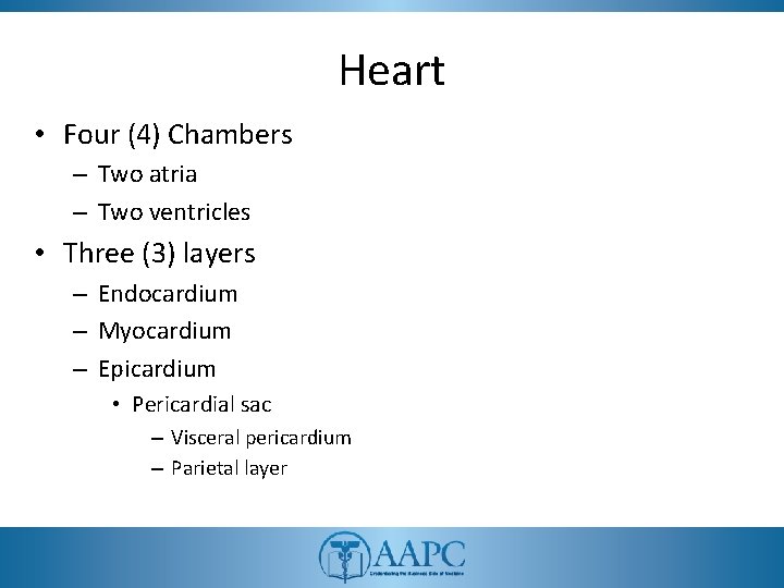 Heart • Four (4) Chambers – Two atria – Two ventricles • Three (3)