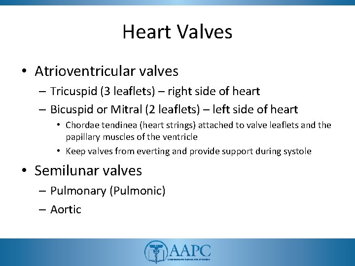 Heart Valves • Atrioventricular valves – Tricuspid (3 leaflets) – right side of heart