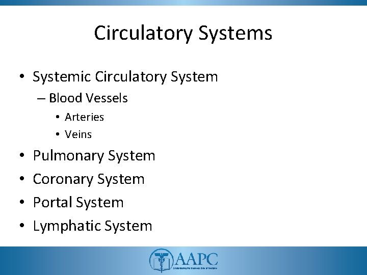 Circulatory Systems • Systemic Circulatory System – Blood Vessels • Arteries • Veins •