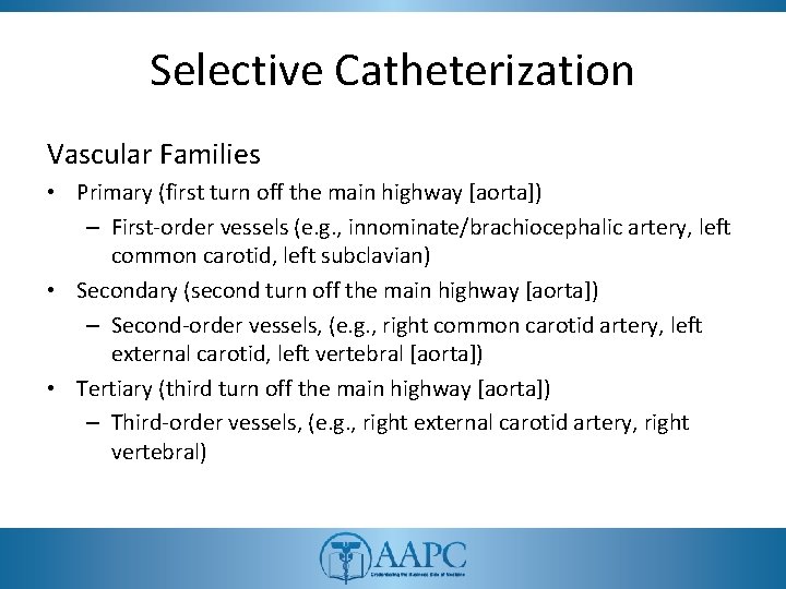 Selective Catheterization Vascular Families • Primary (first turn off the main highway [aorta]) –
