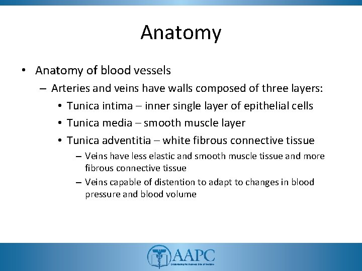 Anatomy • Anatomy of blood vessels – Arteries and veins have walls composed of