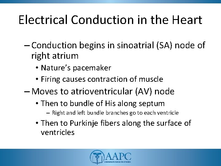 Electrical Conduction in the Heart – Conduction begins in sinoatrial (SA) node of right