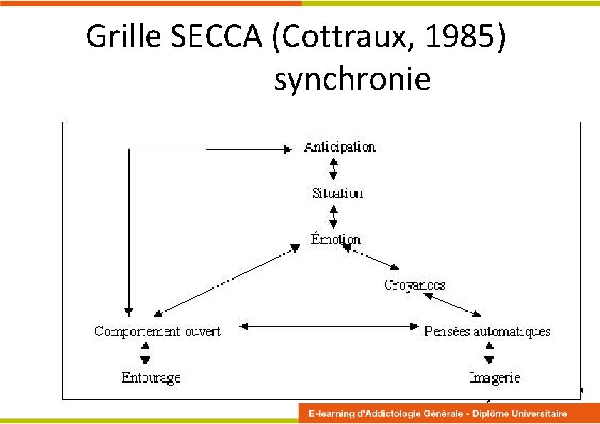 Grille SECCA (Cottraux, 1985) synchronie 