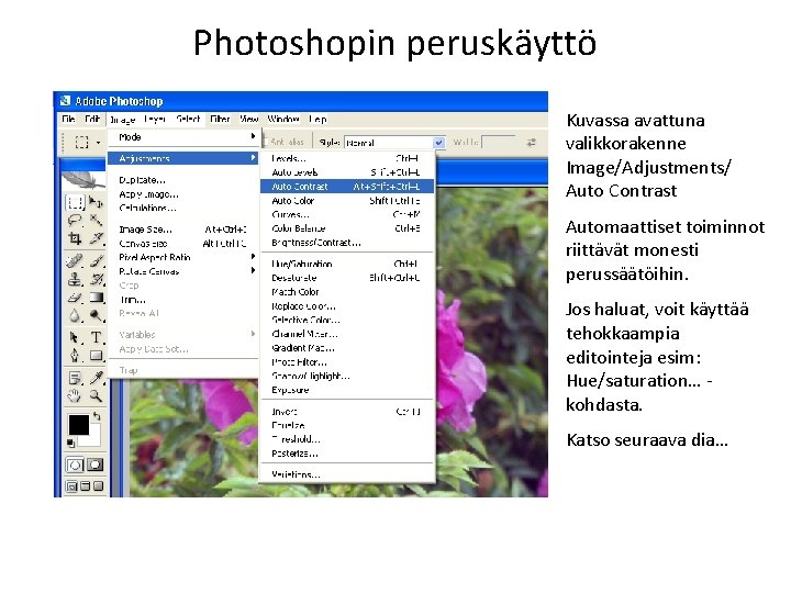 Photoshopin peruskäyttö Kuvassa avattuna valikkorakenne Image/Adjustments/ Auto Contrast Automaattiset toiminnot riittävät monesti perussäätöihin. Jos