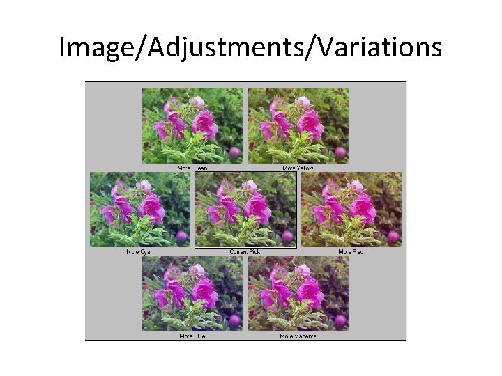 Image/Adjustments/Variations 