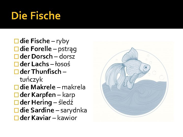 Die Fische � die Fische – ryby � die Forelle – pstrąg � der