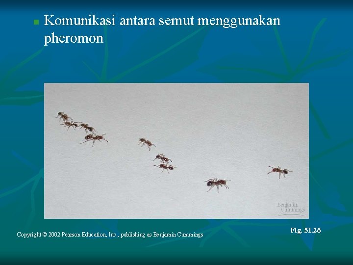 n Komunikasi antara semut menggunakan pheromon Copyright © 2002 Pearson Education, Inc. , publishing