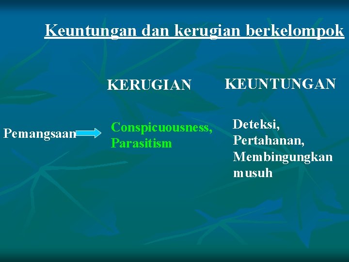 Keuntungan dan kerugian berkelompok KERUGIAN Pemangsaan Conspicuousness, Parasitism KEUNTUNGAN Deteksi, Pertahanan, Membingungkan musuh 