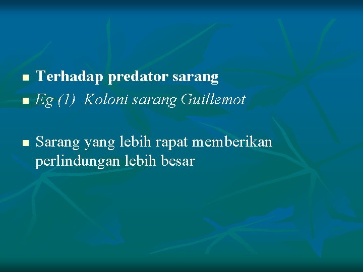 n n n Terhadap predator sarang Eg (1) Koloni sarang Guillemot Sarang yang lebih