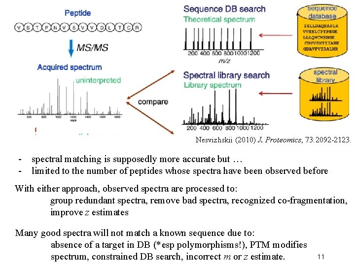 Nesvizhskii (2010) J. Proteomics, 73: 2092 -2123. - spectral matching is supposedly more accurate