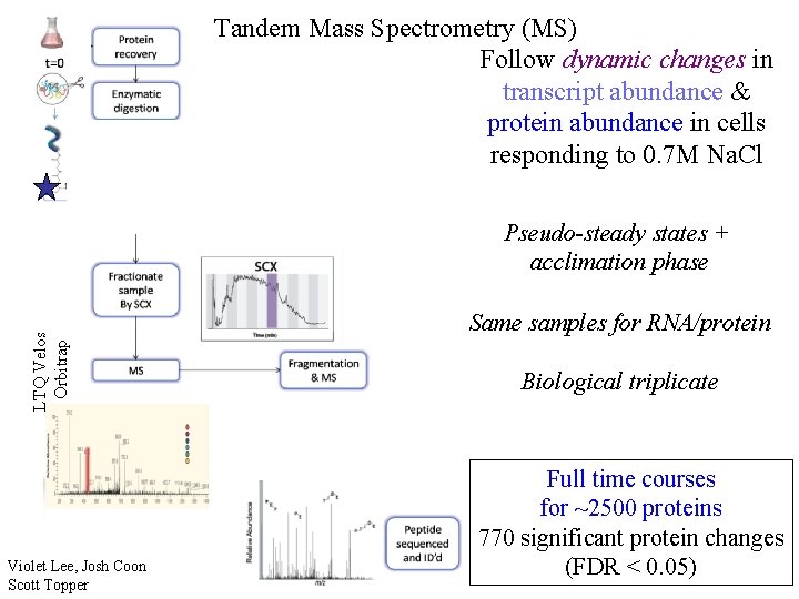 Tandem Mass Spectrometry (MS) Follow dynamic changes in transcript abundance & protein abundance in
