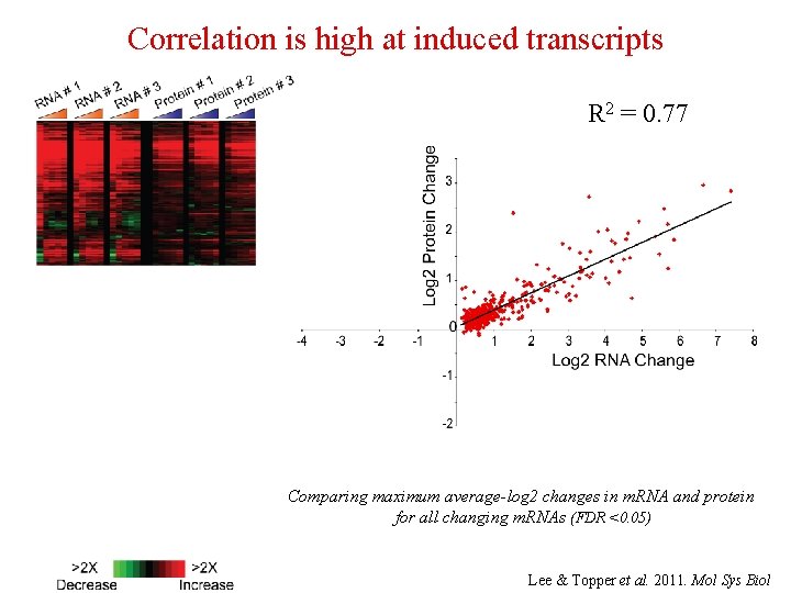 Correlation is high at induced transcripts R 2 = 0. 77 Comparing maximum average-log