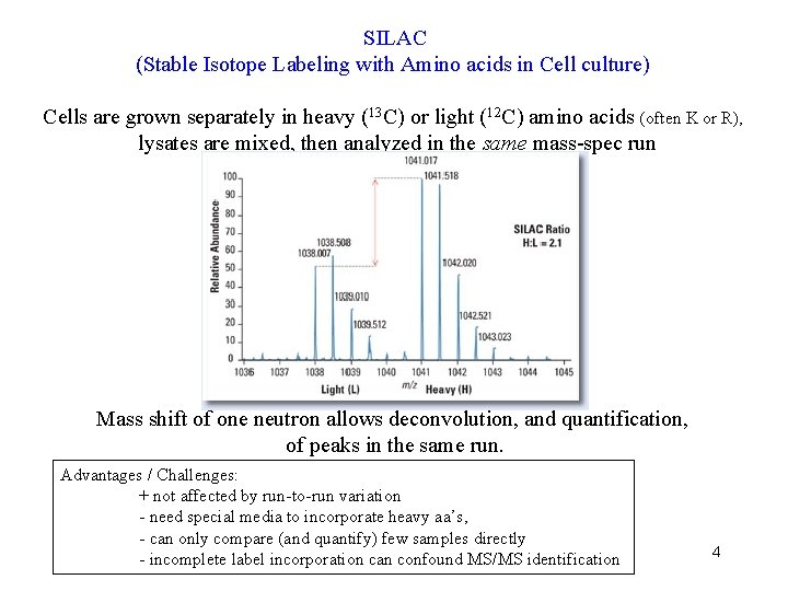 SILAC (Stable Isotope Labeling with Amino acids in Cell culture) Cells are grown separately