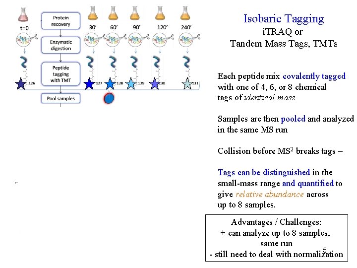 Isobaric Tagging i. TRAQ or Tandem Mass Tags, TMTs Each peptide mix covalently tagged