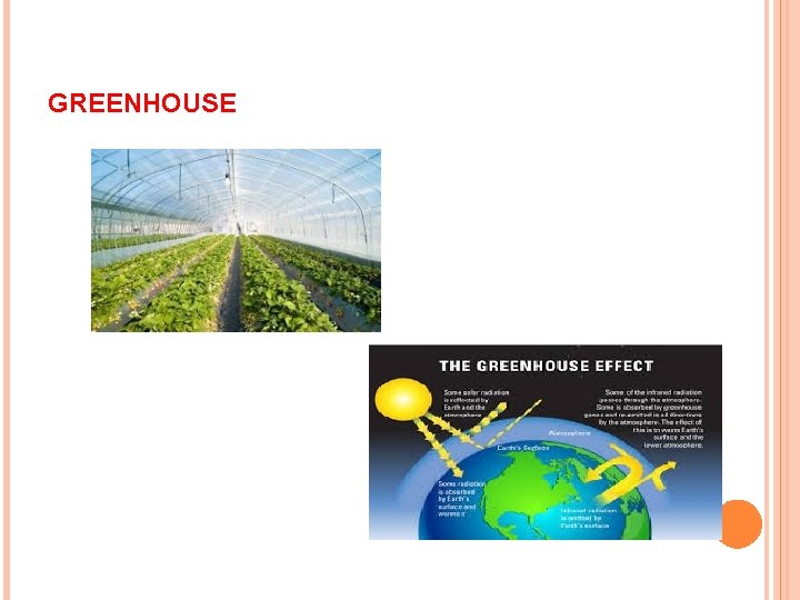 GREENHOUSE 