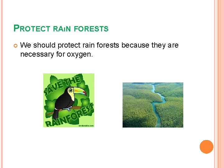 PROTECT RAıN FORESTS We should protect rain forests because they are necessary for oxygen.