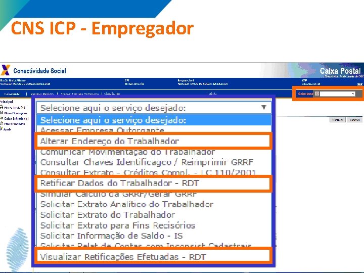 CNS ICP - Empregador 