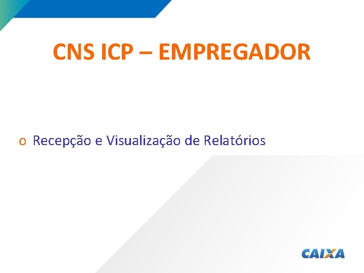 CNS ICP – EMPREGADOR o Recepção e Visualização de Relatórios 