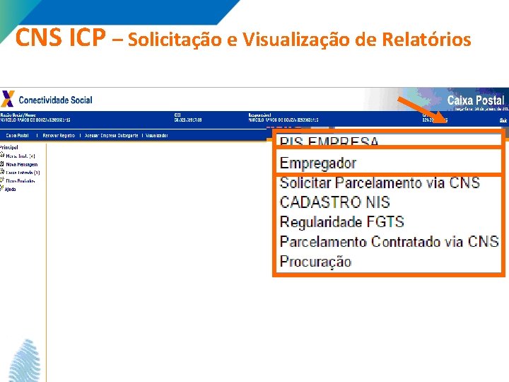 CNS ICP – Solicitação e Visualização de Relatórios 