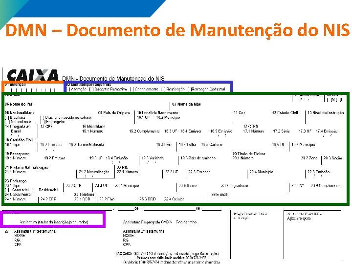 DMN – Documento de Manutenção do NIS 