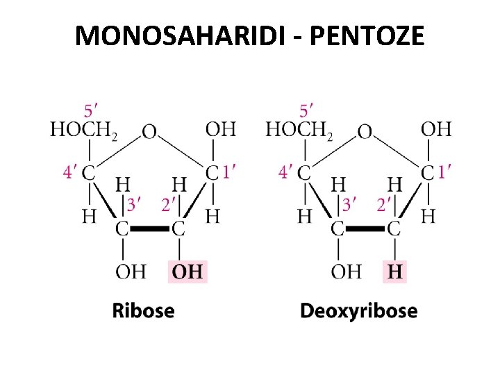 MONOSAHARIDI - PENTOZE 