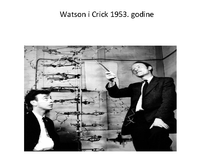 Watson i Crick 1953. godine 