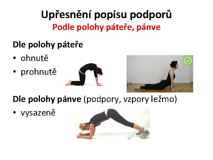 Upřesnění popisu podporů Podle polohy páteře, pánve Dle polohy páteře • ohnutě • prohnutě