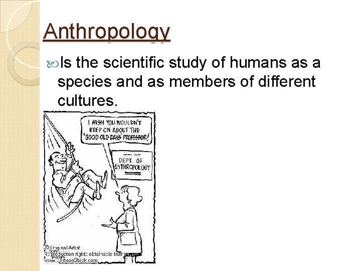 Anthropology Is the scientific study of humans as a species and as members of