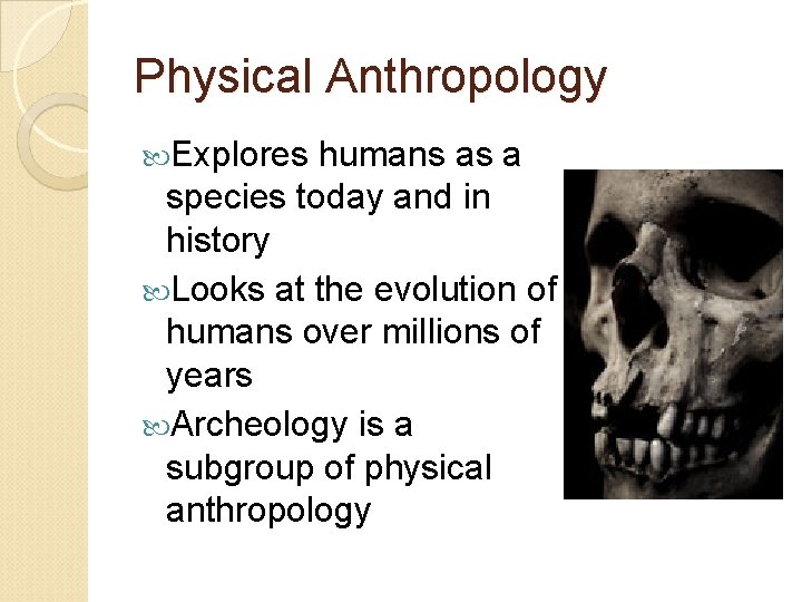 Physical Anthropology Explores humans as a species today and in history Looks at the