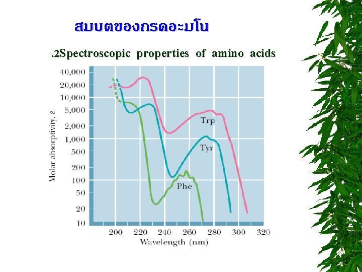 สมบตของกรดอะมโน. 2 Spectroscopic properties of amino acids 