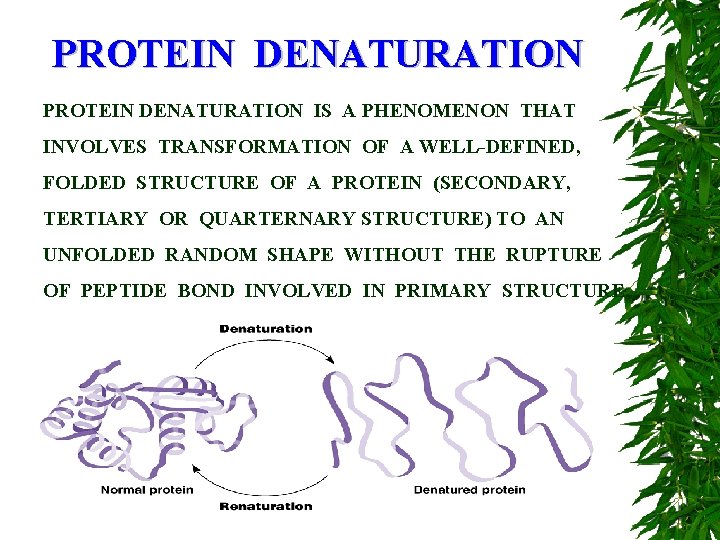 PROTEIN DENATURATION IS A PHENOMENON THAT INVOLVES TRANSFORMATION OF A WELL-DEFINED, FOLDED STRUCTURE OF