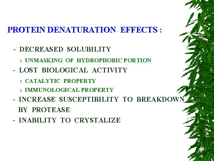 PROTEIN DENATURATION EFFECTS : - DECREASED SOLUBILITY : UNMASKING OF HYDROPHOBIC PORTION - LOST