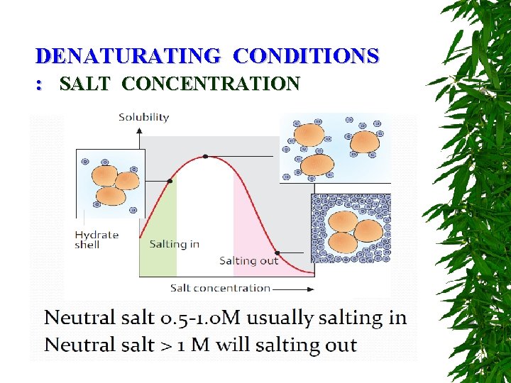 DENATURATING CONDITIONS : SALT CONCENTRATION 