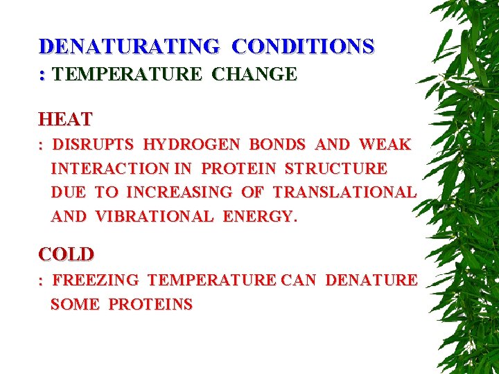 DENATURATING CONDITIONS : TEMPERATURE CHANGE HEAT : DISRUPTS HYDROGEN BONDS AND WEAK INTERACTION IN