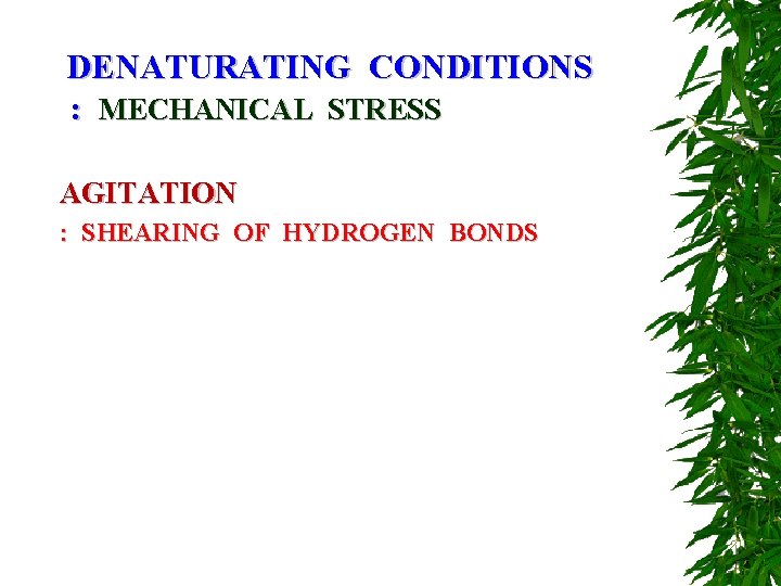 DENATURATING CONDITIONS : MECHANICAL STRESS AGITATION : SHEARING OF HYDROGEN BONDS 