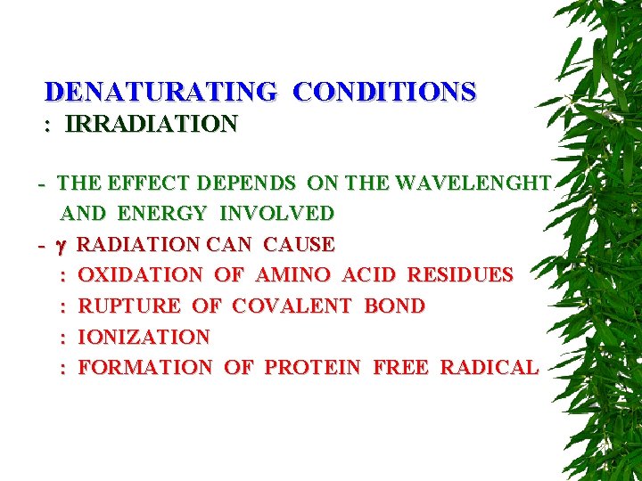 DENATURATING CONDITIONS : IRRADIATION - THE EFFECT DEPENDS ON THE WAVELENGHT AND ENERGY INVOLVED