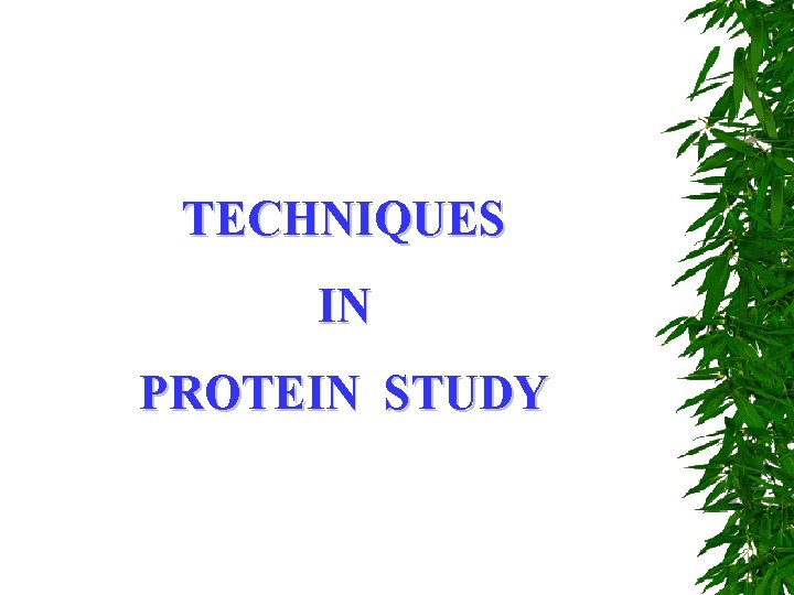 TECHNIQUES IN PROTEIN STUDY 