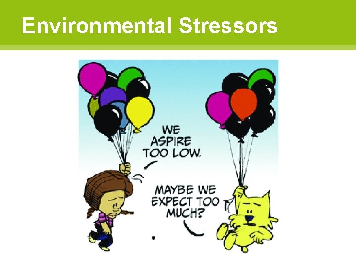 Environmental Stressors 