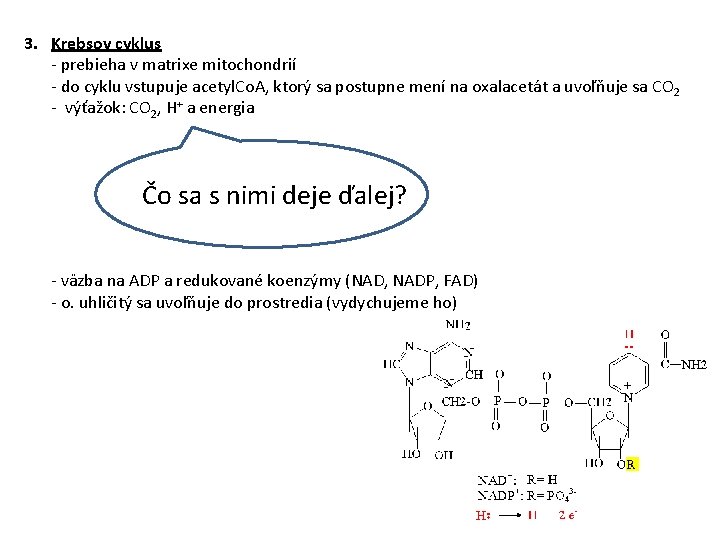 3. Krebsov cyklus - prebieha v matrixe mitochondrií - do cyklu vstupuje acetyl. Co.