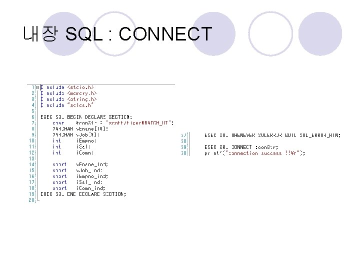 내장 SQL : CONNECT 