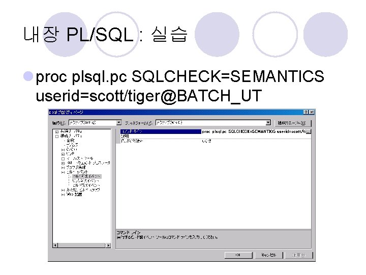 내장 PL/SQL : 실습 l proc plsql. pc SQLCHECK=SEMANTICS userid=scott/tiger@BATCH_UT 