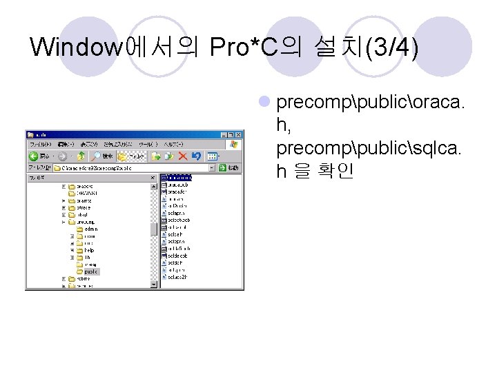 Window에서의 Pro*C의 설치(3/4) l precomppublicoraca. h, precomppublicsqlca. h 을 확인 