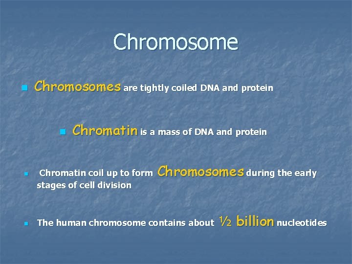 Chromosome n Chromosomes are tightly coiled DNA and protein n Chromatin is a mass Chromosome n Chromosomes are tightly coiled DNA and protein n Chromatin is a mass