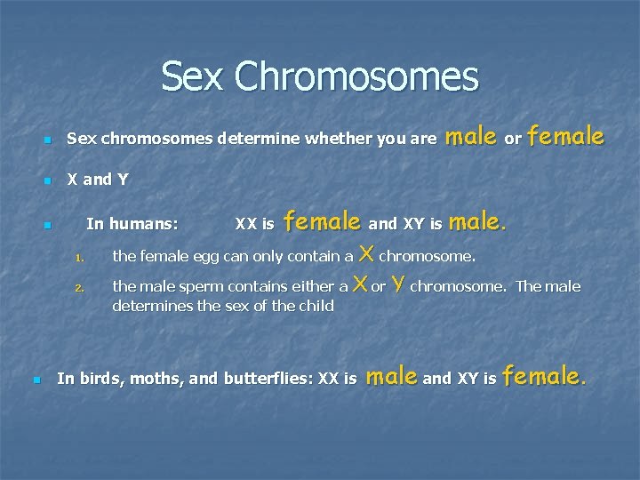Sex Chromosomes n Sex chromosomes determine whether you are n X and Y In Sex Chromosomes n Sex chromosomes determine whether you are n X and Y In